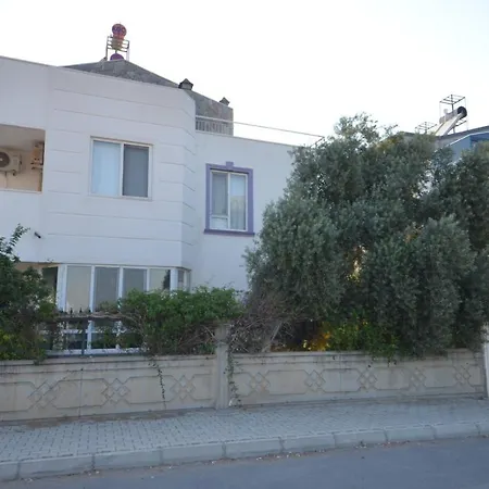 Triplex With Pool